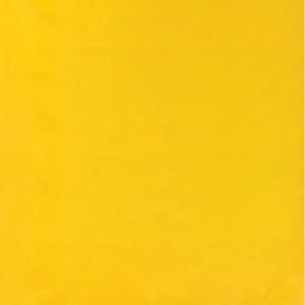 50 x 60 Screen Printed Fleece Blanket (Q895211)