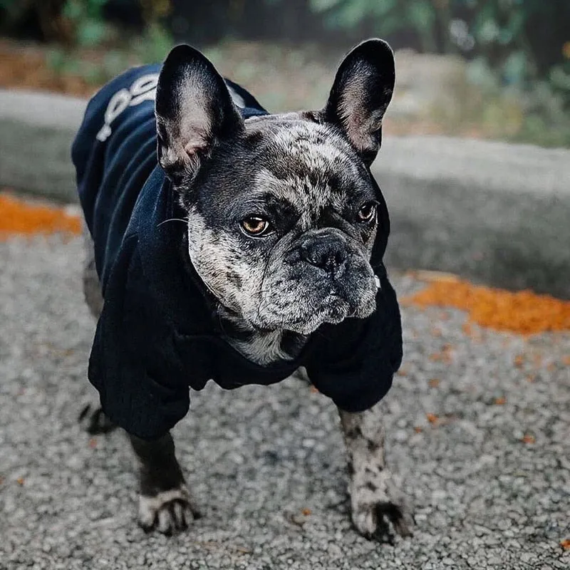 Adidog and Adicat Hoodies