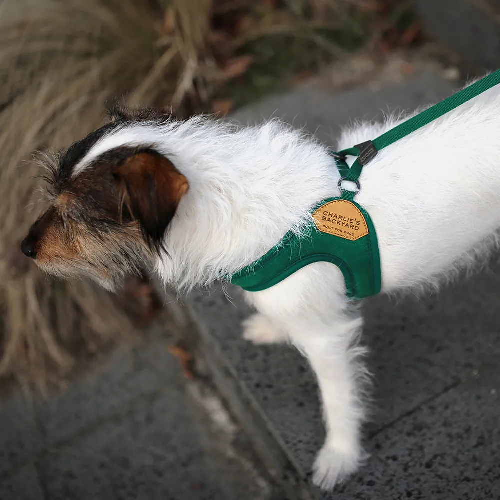 Adjustable Easy Harness Green