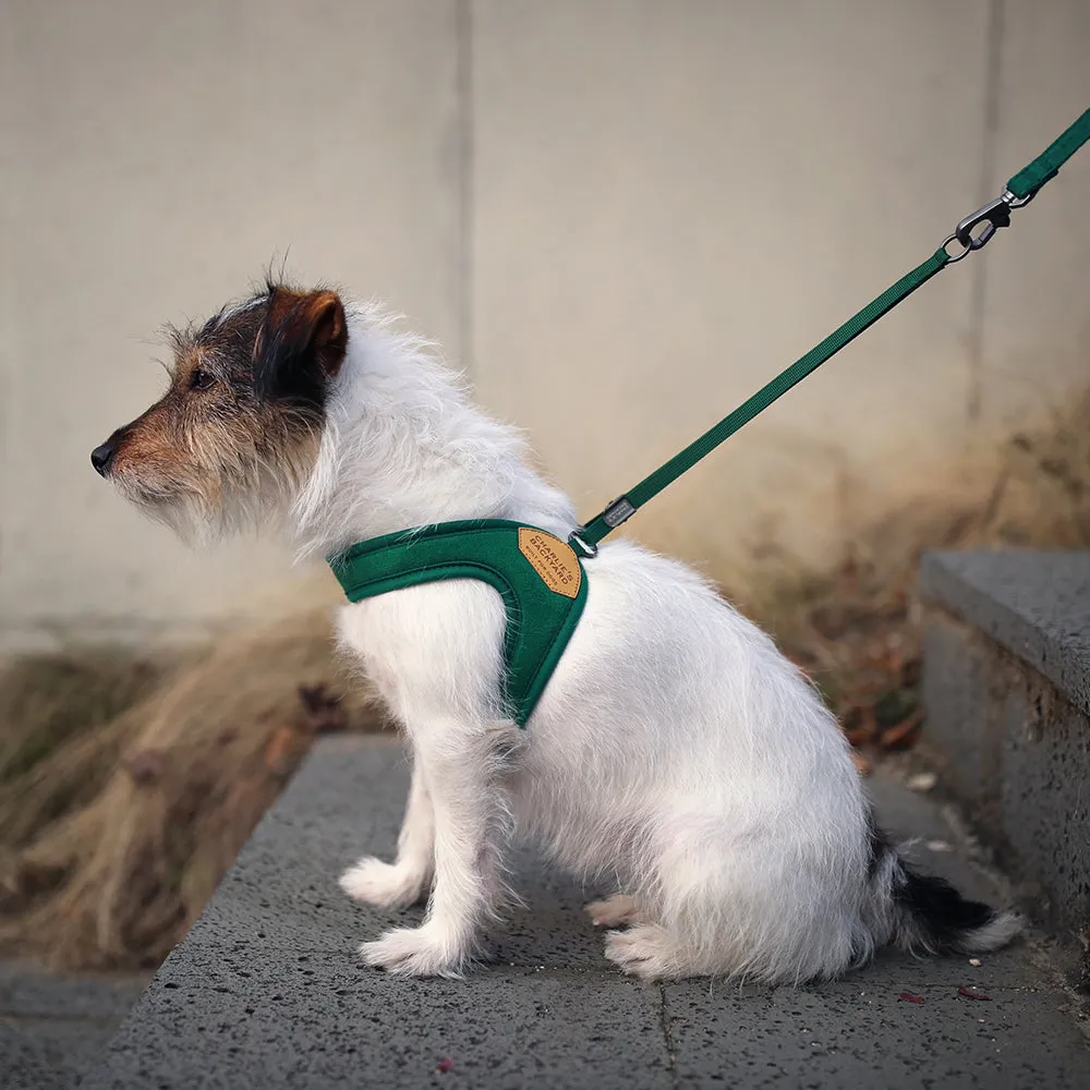 Adjustable Easy Harness Green