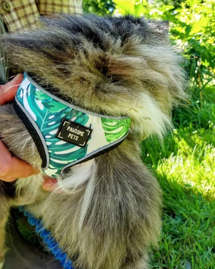 Adjustable PET HARNESS