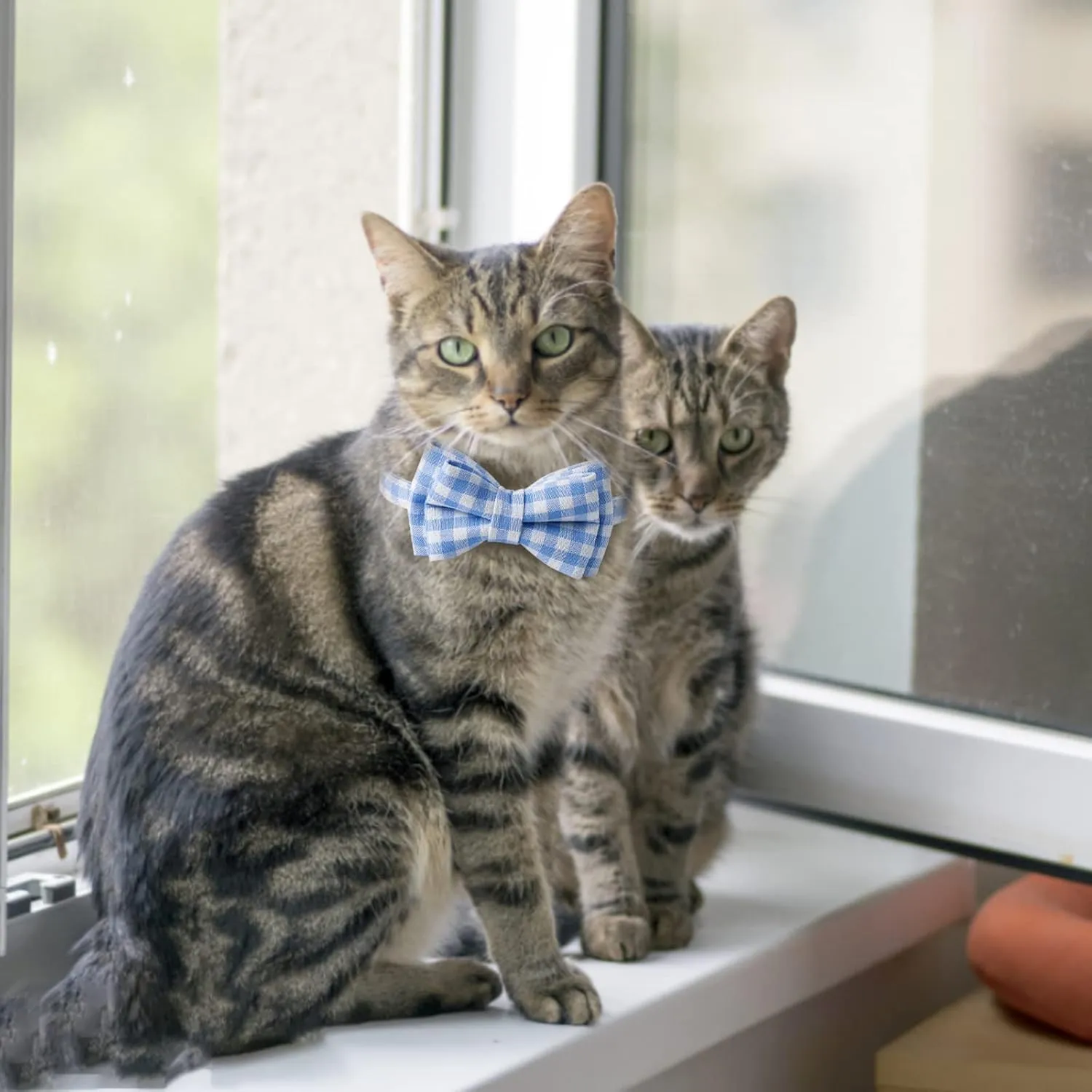 AIITLE Breakaway Cat Collar with Cute Bow Tie and Bell, Detachable Adjustable Safety Collars for Girl Cats and Boy Cats, Kittens, Puppy, Soft Stylish Plaid Patterns Cat Collars,Blue
