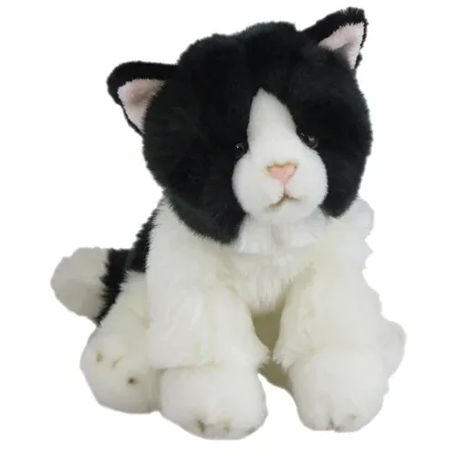 Antics Black and White Cat