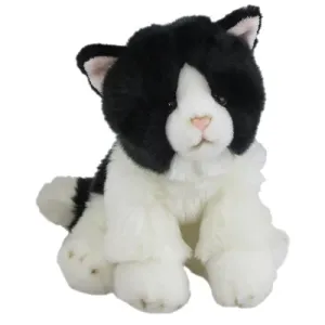 Antics Black and White Cat