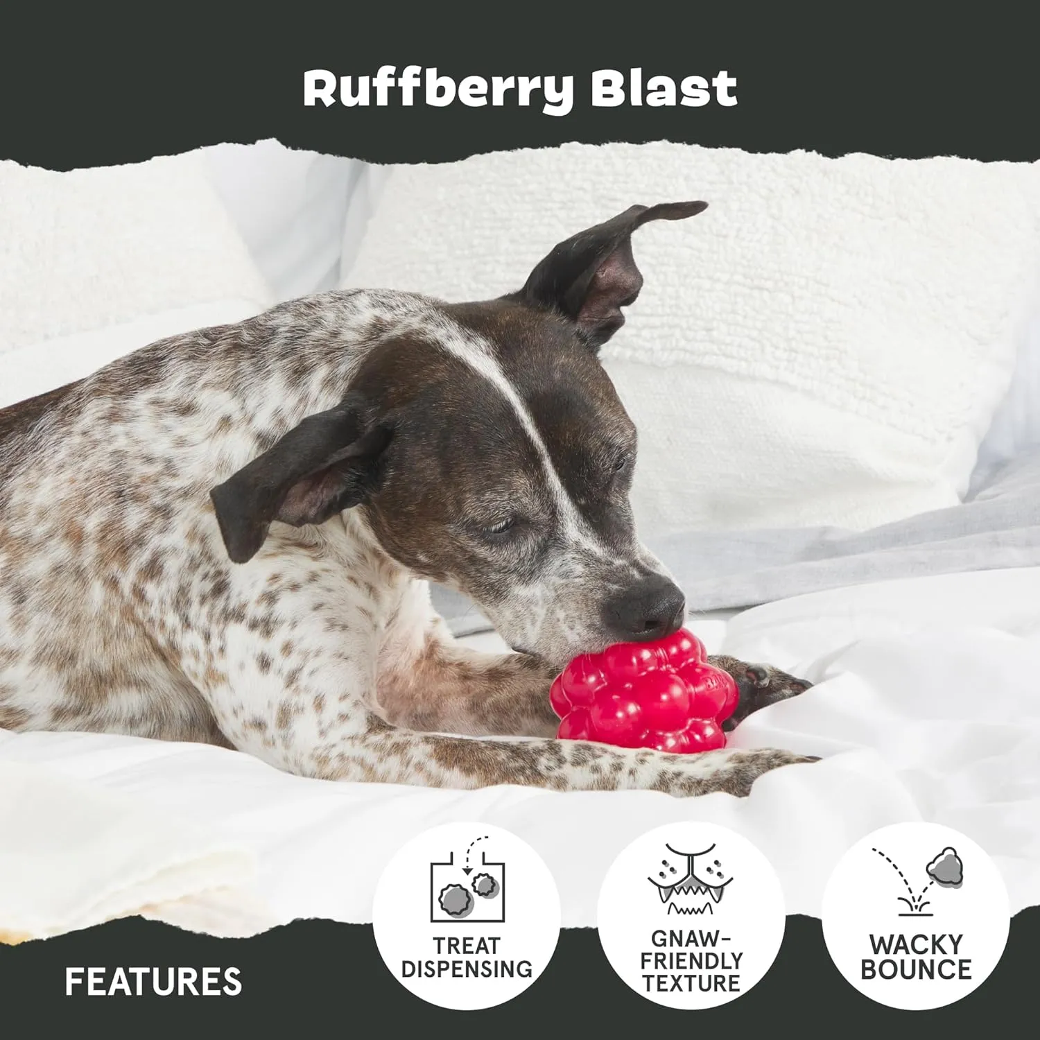 Barkbox Ruffberry Blast Dog Toy for Small Dogs, Treat Dispensing Toy with Wacky Bounce and Perfect for Kibble or Favorite Treats