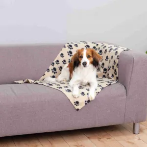 Beany Blanket