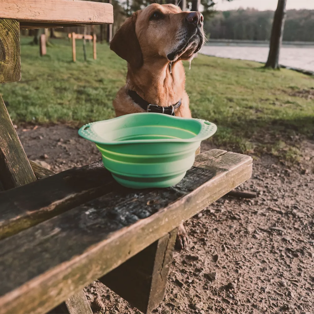 Collapsible Travel Bowl