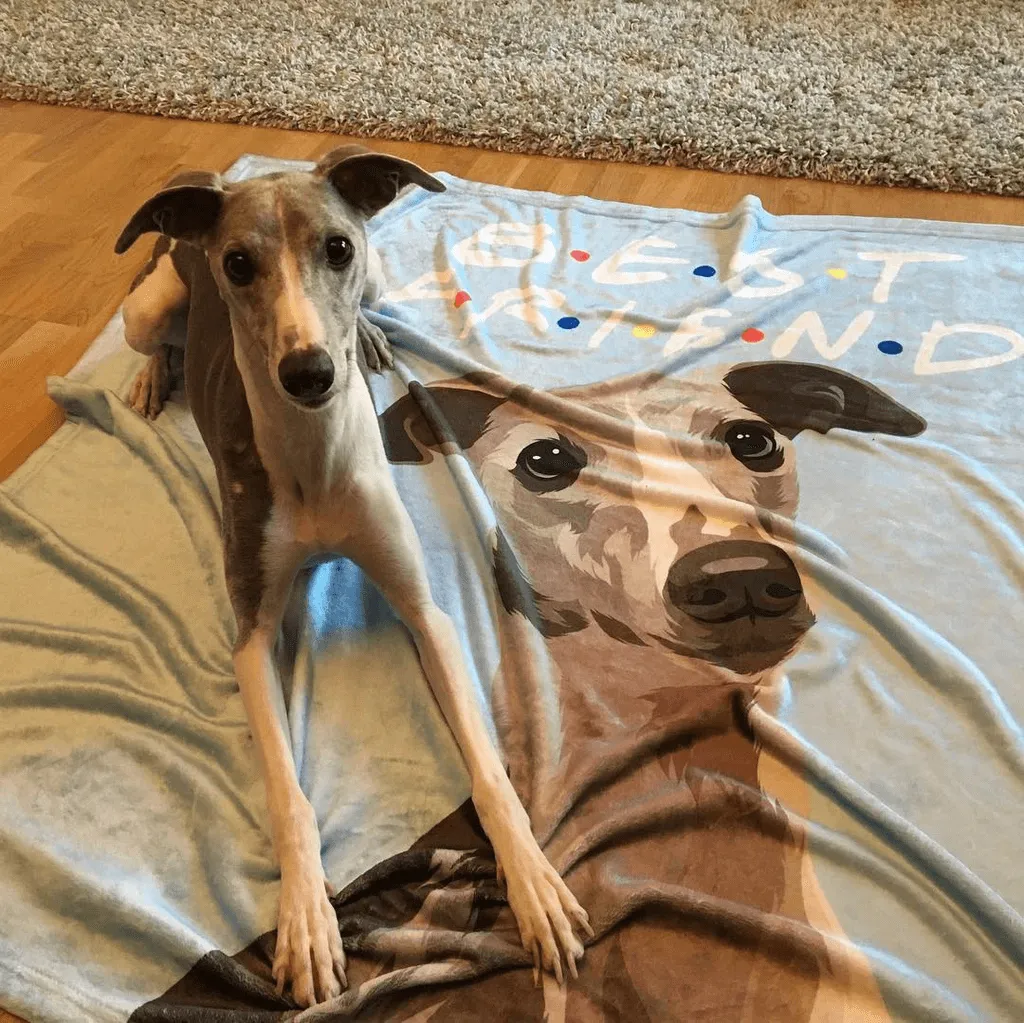 Custom Photo Blankets Personalized Photo Blankets Painted Art Portrait Fleece Blanket Best Gift 2021 Portrait Blanket