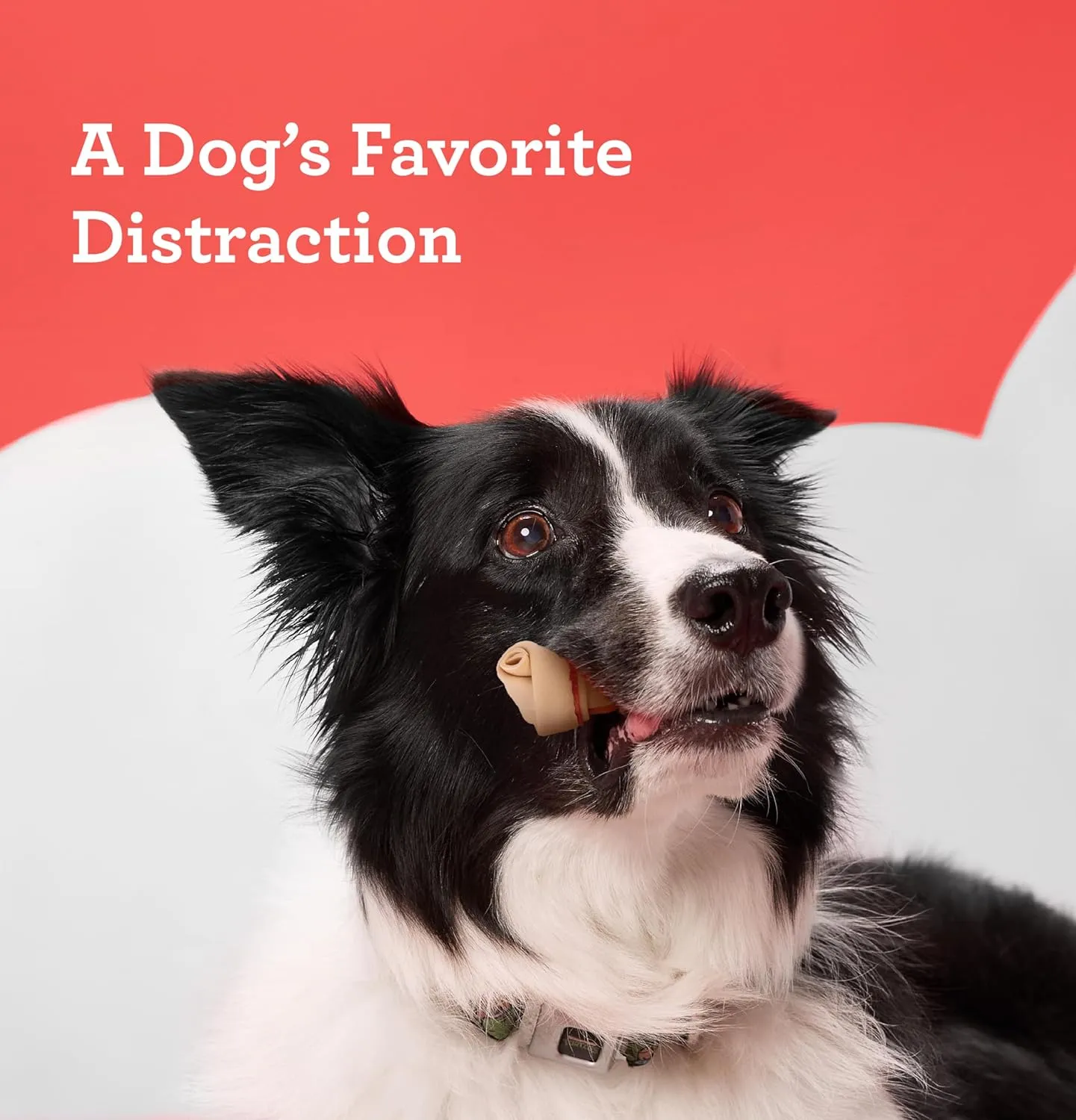 DreamBone DreamSticks With Real Chicken Chews For Dogs, 15 Count, These Easy-to-Digest Rawhide-Free Chews are a Dogs Favorite Distraction