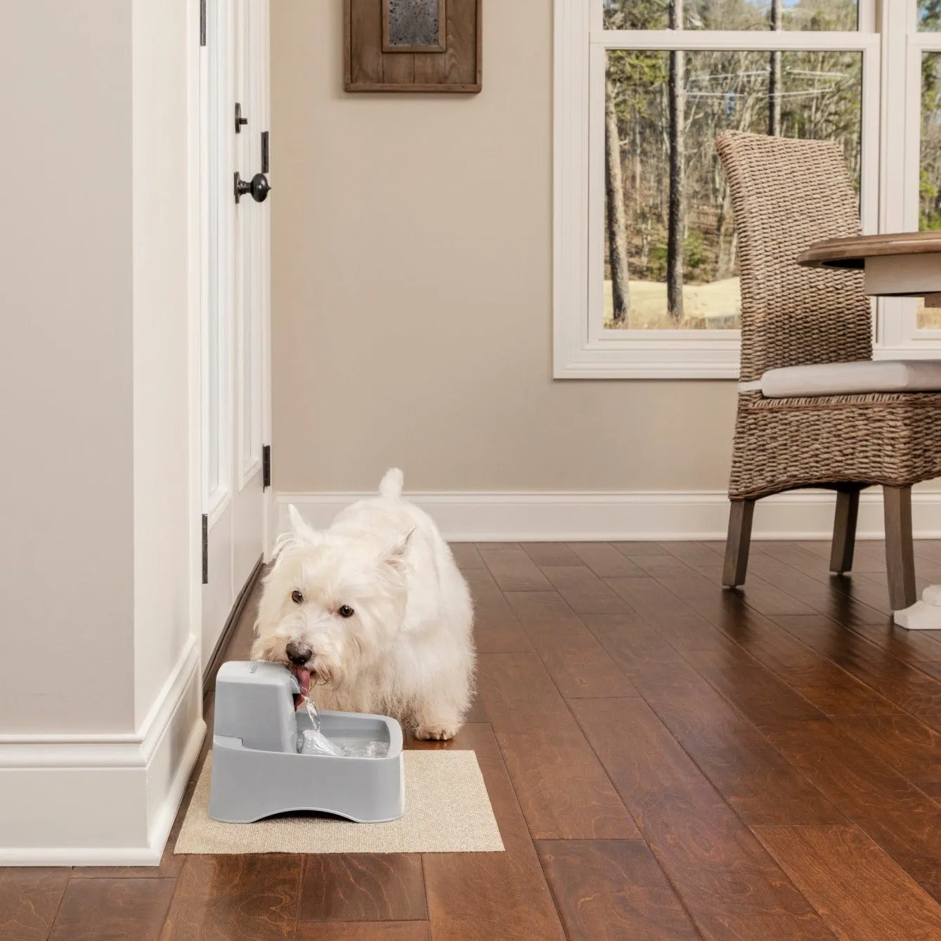 Drinkwell® 1.8 litre Pet Fountain