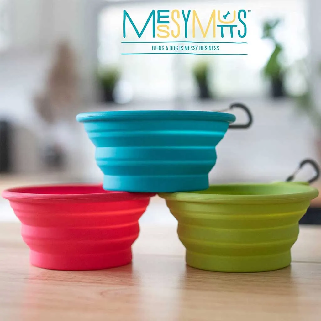 Green Silicone Collapsible Bowl