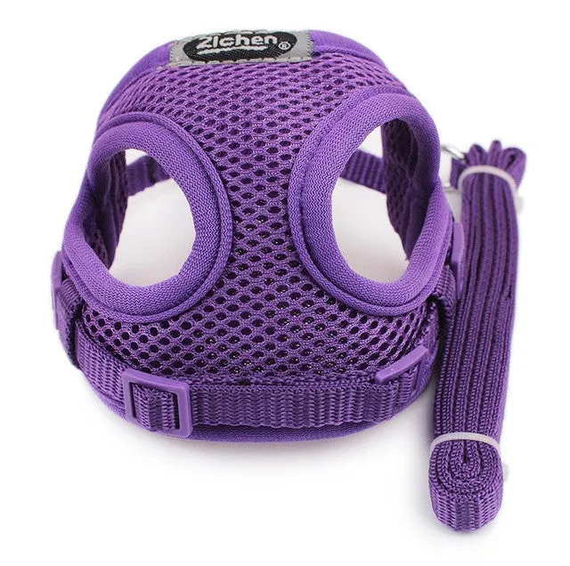 Little Dog Protection Leash