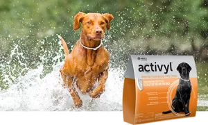 Merck Activyl Spot-on For Dogs