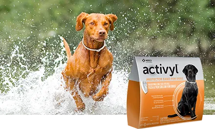 Merck Activyl Spot-on For Dogs