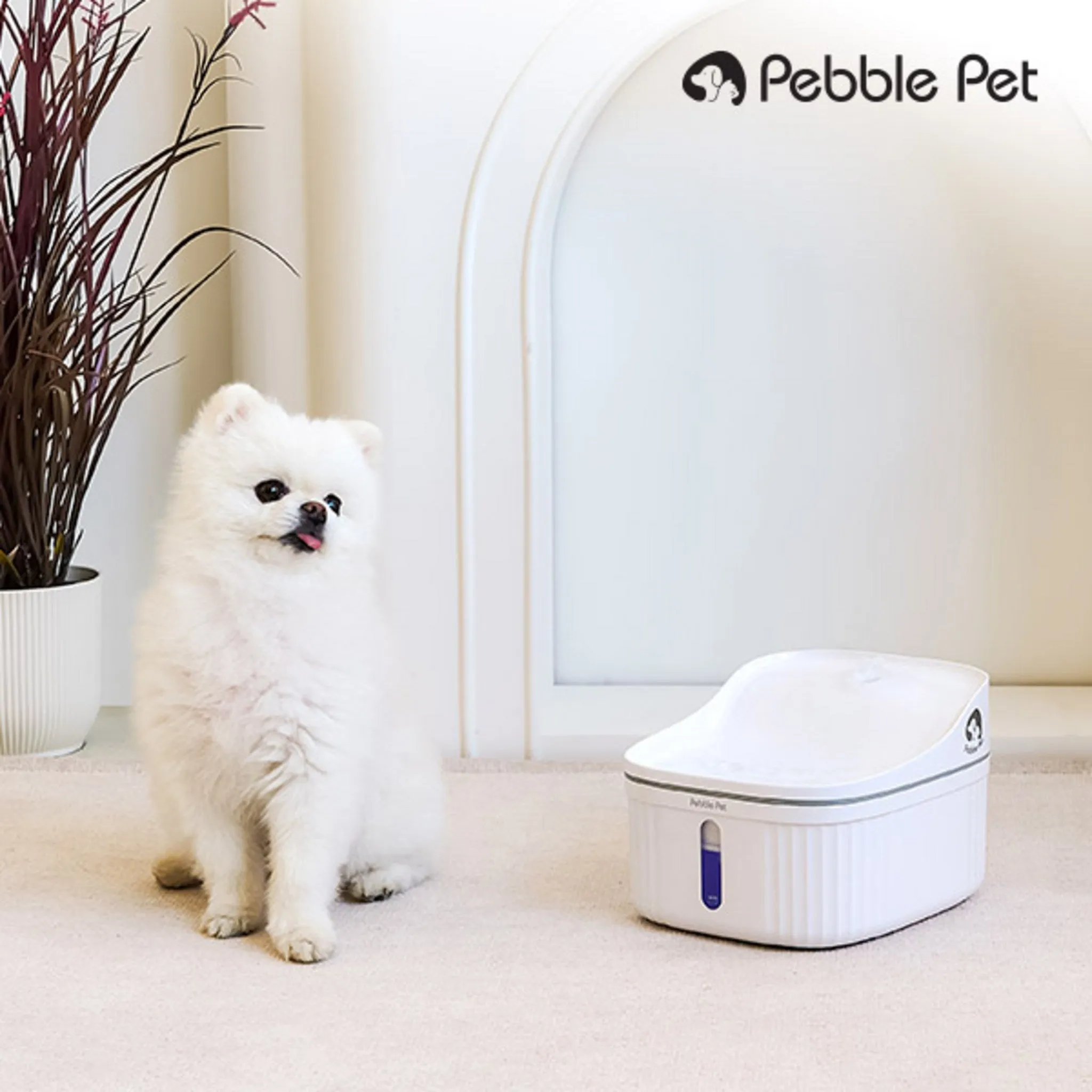 [PEBBLE PET] Large Capacity Automatic Water Dispenser with 3-Stage Filtration for Dogs and Cats IPW200 - Water Bottle/Dispenser/Feeder - 🏆 #72 - Pet Supplies - Best of December