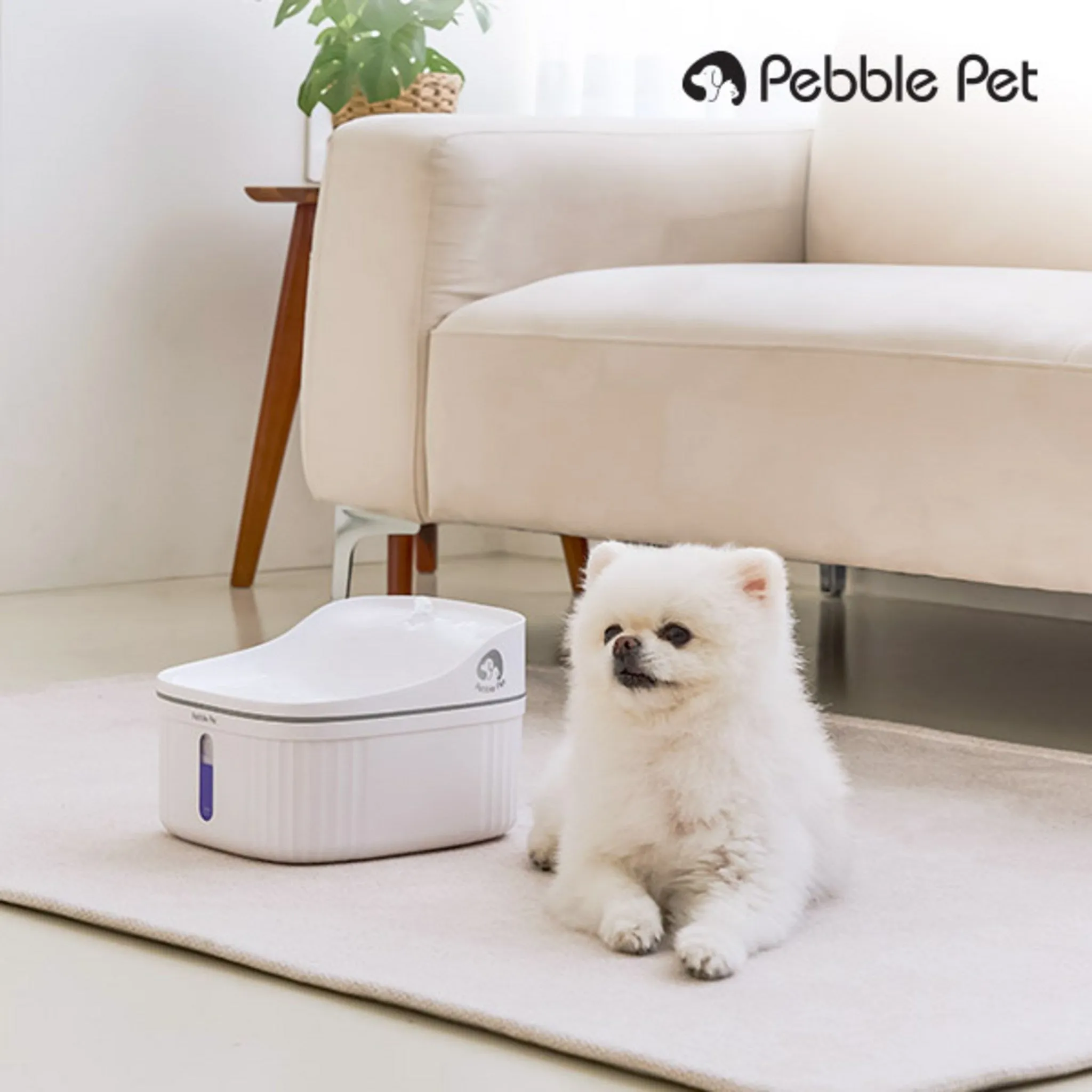 [PEBBLE PET] Large Capacity Automatic Water Dispenser with 3-Stage Filtration for Dogs and Cats IPW200 - Water Bottle/Dispenser/Feeder - 🏆 #72 - Pet Supplies - Best of December