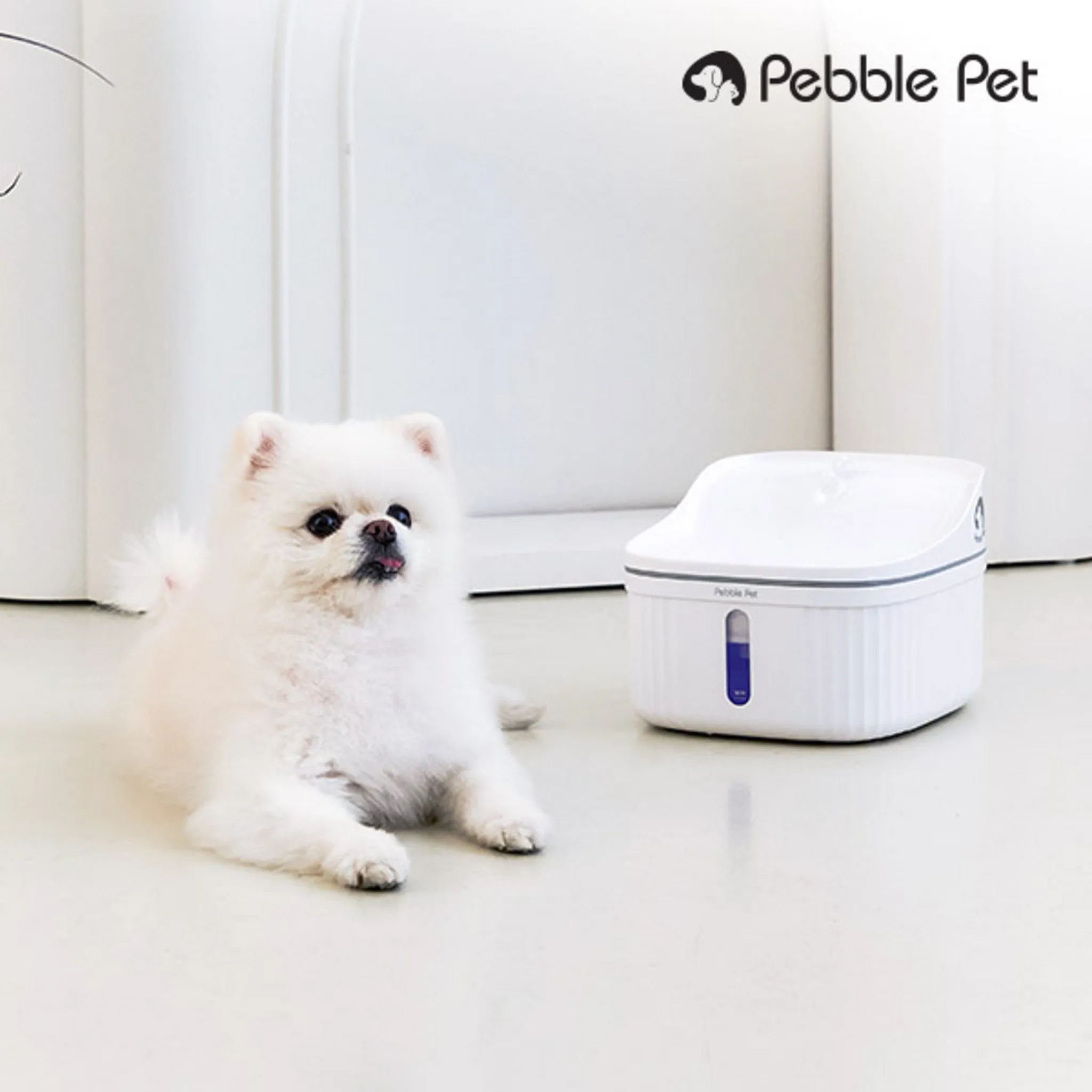 [PEBBLE PET] Large Capacity Automatic Water Dispenser with 3-Stage Filtration for Dogs and Cats IPW200 - Water Bottle/Dispenser/Feeder - 🏆 #72 - Pet Supplies - Best of December