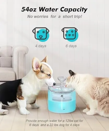 Pet Water Fountain | (WF100WH-Light)