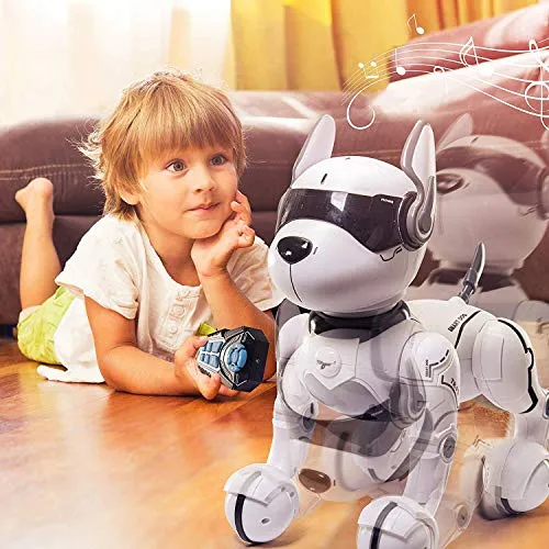 Remote Control Robot Dog Toy, Robots for Kids, Rc Dog Robot Toys for Kids 2,3,4,5,6,7,8,9