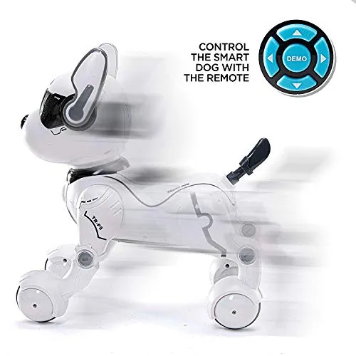 Remote Control Robot Dog Toy, Robots for Kids, Rc Dog Robot Toys for Kids 2,3,4,5,6,7,8,9