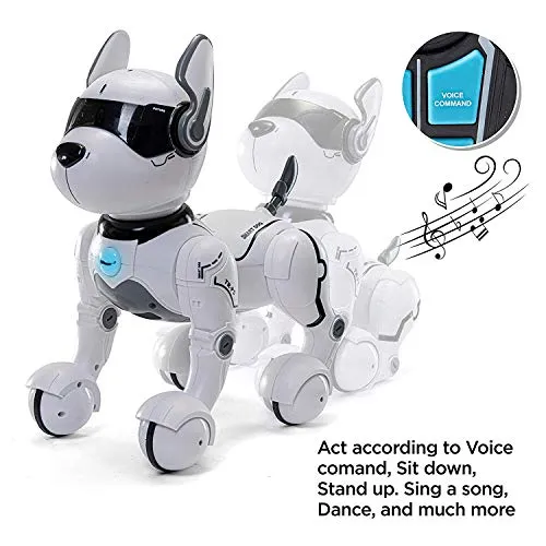 Remote Control Robot Dog Toy, Robots for Kids, Rc Dog Robot Toys for Kids 2,3,4,5,6,7,8,9