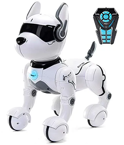 Remote Control Robot Dog Toy, Robots for Kids, Rc Dog Robot Toys for Kids 2,3,4,5,6,7,8,9