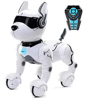 Remote Control Robot Dog Toy, Robots for Kids, Rc Dog Robot Toys for Kids 2,3,4,5,6,7,8,9