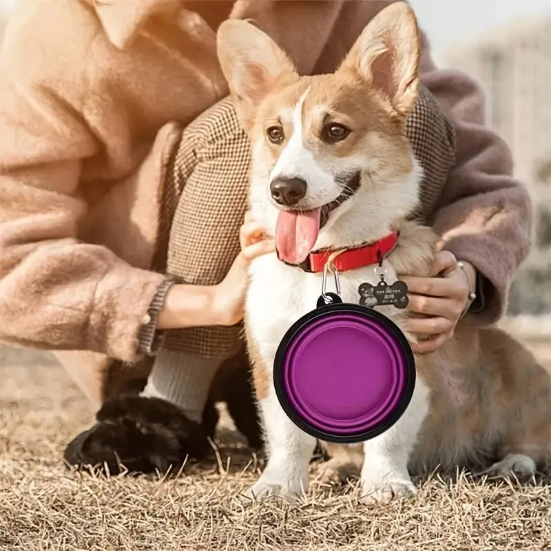 Silicone Collapsible Travel Portable Dog Food Water Bowl