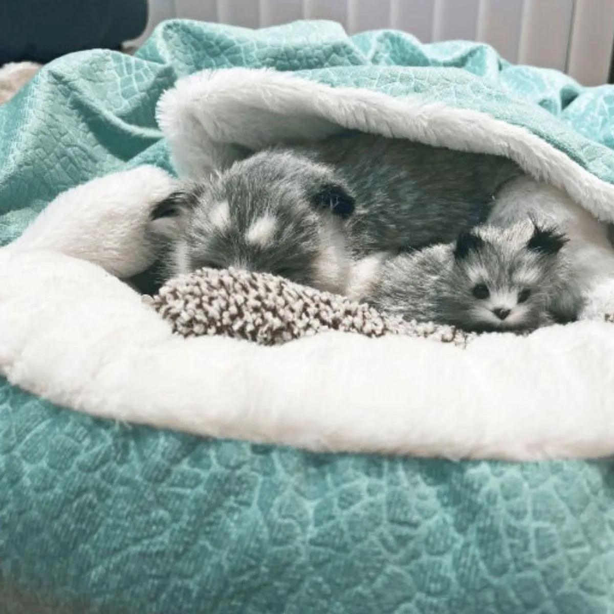 Small Dog Bed with Cover Cave - Covered Round Puppy Bed with Hooded Blanket, Machine Washable Burrow Pet Bed for Small Dogs and Cats, Cozy Cave Dog Bed with Anti-Slip Bottom (Beige,Large)