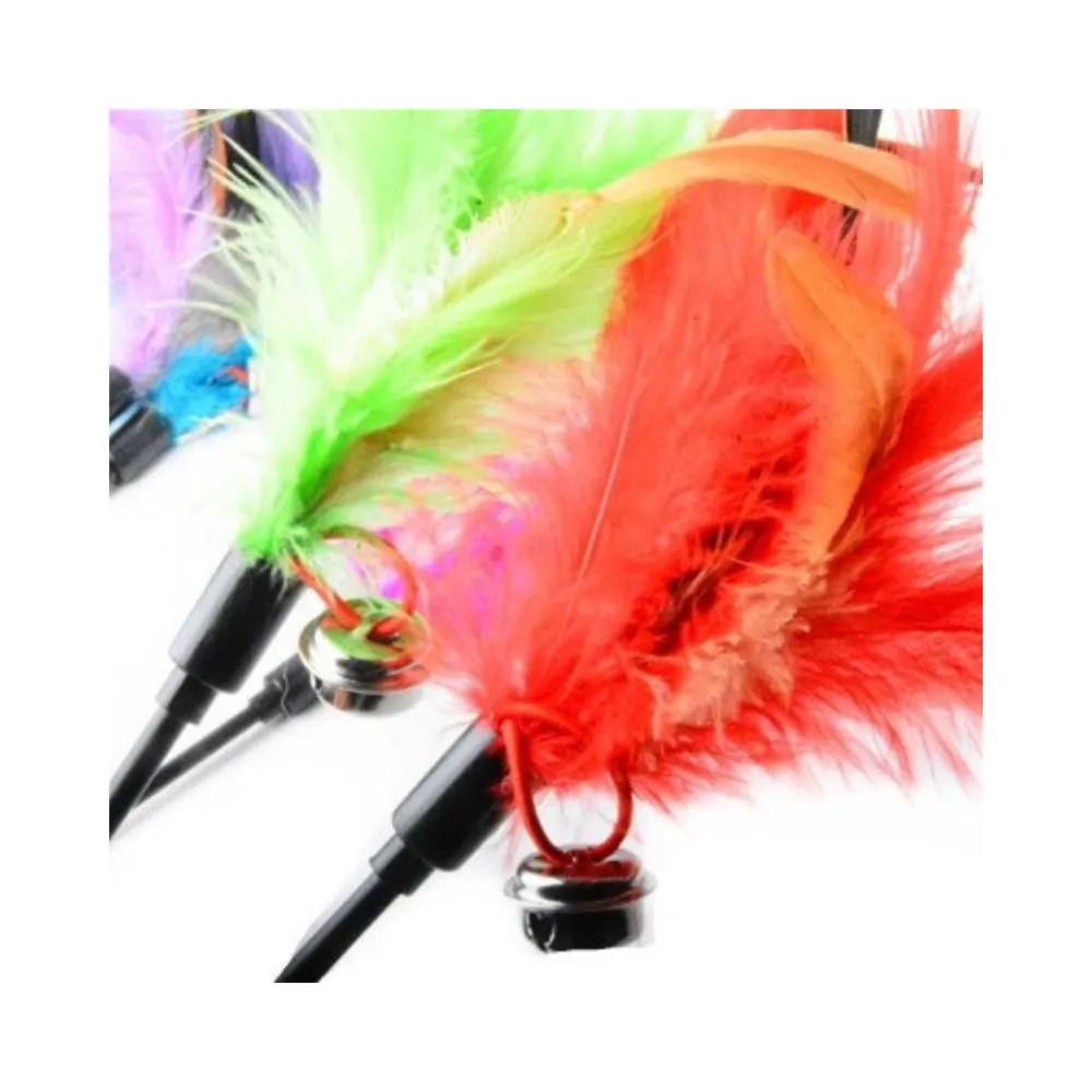 Soft Colorful Cat Feather