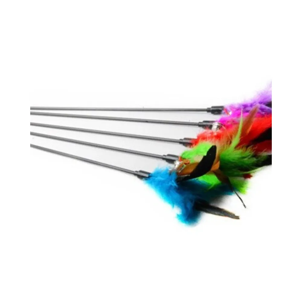 Soft Colorful Cat Feather