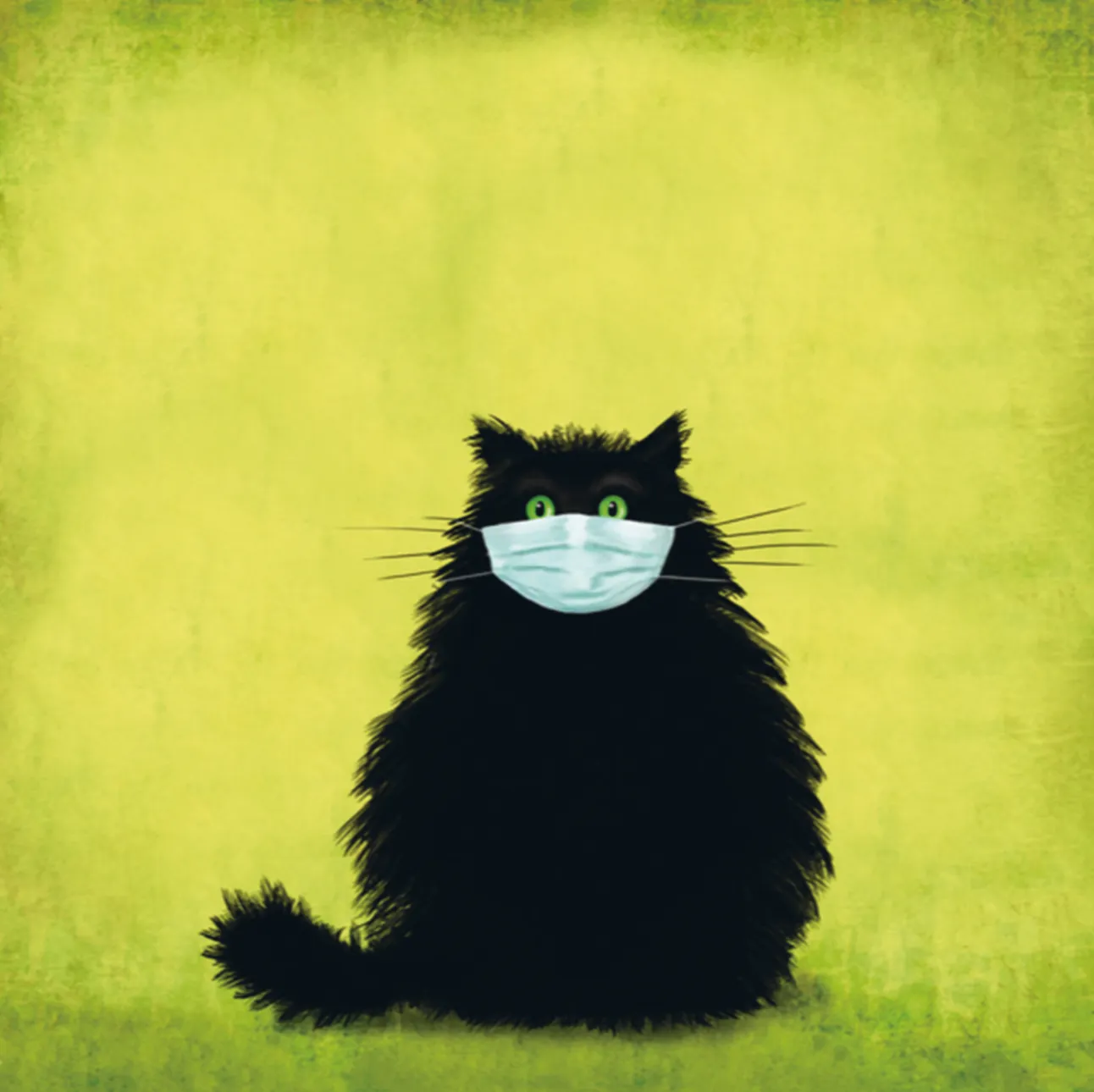 The Masketeer Collection Cat Mug Cushion and Card Mask Gift Set